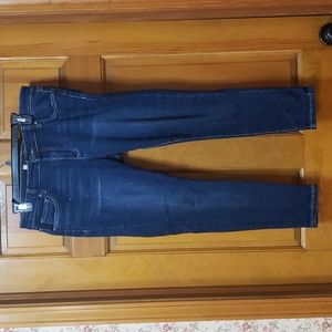 Kut From The Kloth Women's Dotted Blue Jeans 10 Petite, Donna Ankle Skinny, EUC